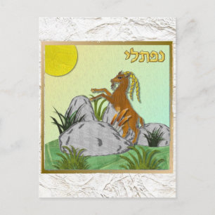 Judaica 12 Tribes Israel Naphtali Briefkaart