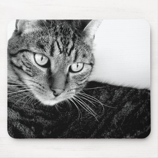 Jude Muismat (Voorkant)