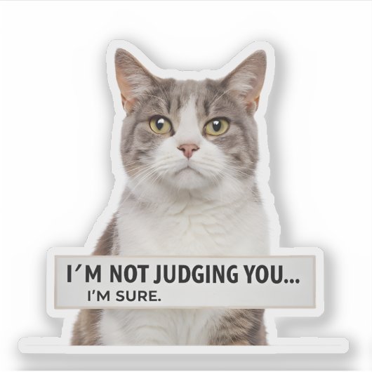 Judging Cat Sarcastic Quote Minimal Art Sticker (Voorkant)