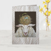 Judith la carte de mouton sur arrière - plan courb (Fleur jaune)