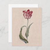 Judith Leyster Tulip Kaart (Voorkant / Achterkant)