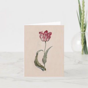 Judith Leyster Tulip Note Card Kaart