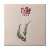 Judith Leyster Tulip Tile Tegeltje (Voorkant)