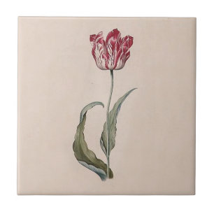 Judith Leyster Tulip Tile Tegeltje