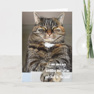 Judmentale Angry Cat Lost Wedding Humor