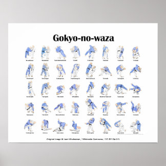 Judo werws poster