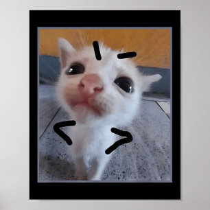 Judy Kat Funny Cat Lover Angry Kitten Meme Cute Poster