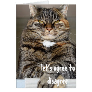 Jugement En Colère Chat Amusant Accepter de désapp