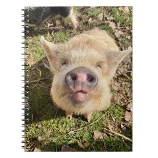 Juggling Daisies Mona-laptop Notitieboek