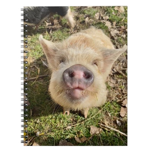 Juggling Daisies Mona-laptop Notitieboek (Voorkant)