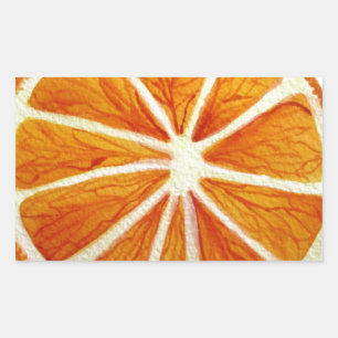 Juicy Oranje waterverf fruit pop Rechthoekige Sticker