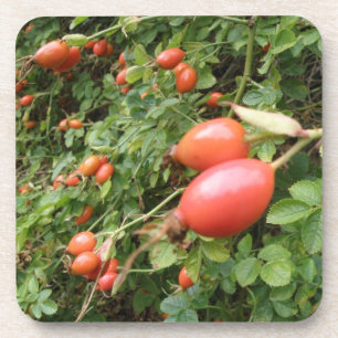 Juicy Red Rose Hips Cork Onderzetter