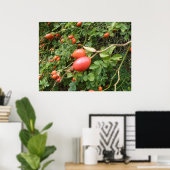 Juicy Red Rose Hips Print (Thuiskantoor)