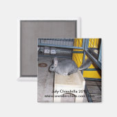 juillet chinchilla 2012 aimant (Recto/Verso)