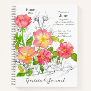 Juin Anniversaire Pink Wild Rose Gratitude Journal