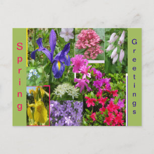 Juin Fleurs Collage Coupe. Carte postale