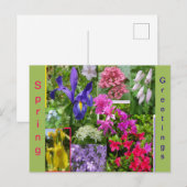 Juin Fleurs Collage Coupe. Carte postale (Devant / Derrière)