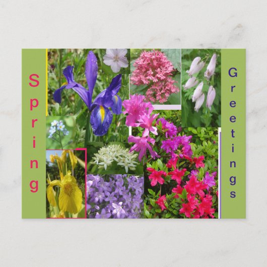 Juin Fleurs Collage Coupe. Carte postale (Devant)