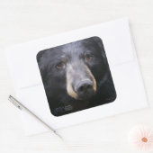 Juin par Nancy Liu - autocollant (Enveloppe)