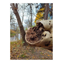 Juist positie van verval en leven