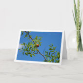 Jujube Fruit op loofboom Kaart (Voorkant)