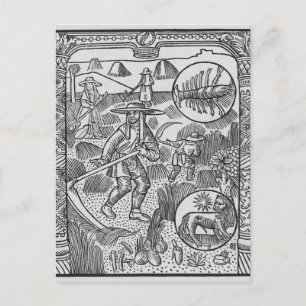 Juli, hooi, kanker briefkaart