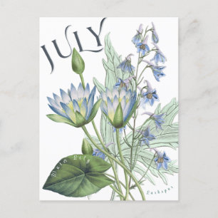 Juli Maand Bloemen Larkspur Water Lily Fancy Briefkaart