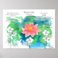 Juli Verjaardag Waterlelie Larkspur Vijver Bloemen