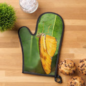 Julia Butterfly  (De haut en bas)