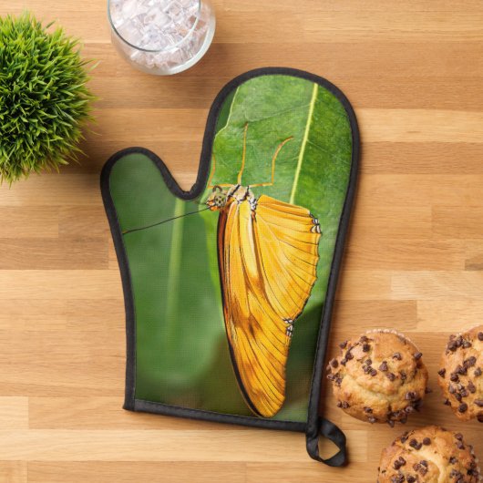 Julia Butterfly (De haut en bas)