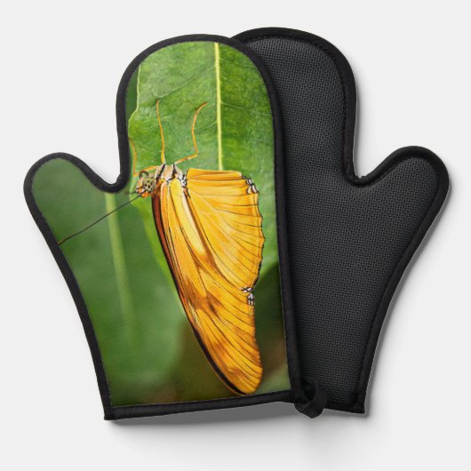 Julia Butterfly  (Recto/Verso)