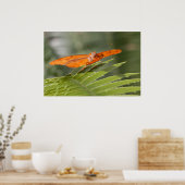 Julia Butterfly op een lef Poster (Keuken)