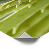 Julia Butterfly op een lef Poster (Hoek)