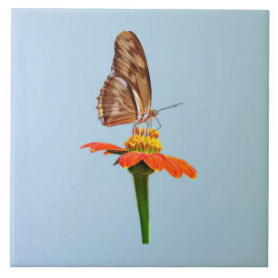 Julia Butterfly op Zinnia Tegeltje