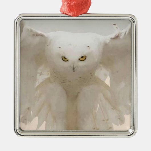 JULIAN OWL ORNAMENT (Voorkant)