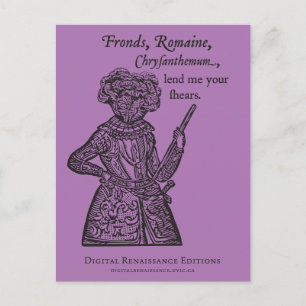 (Julius) Caesar Salad Briefkaart