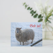 Julkort - Fåret Fjun Briefkaart (Staand voorkant)