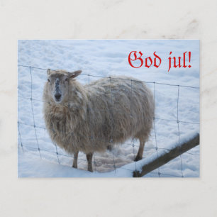 Julkort - Fåret Fjun Briefkaart