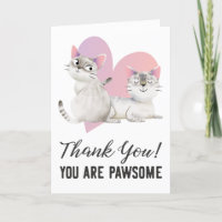 Jullie zijn prachtige Siamese katten