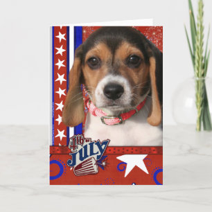 July 4th Firecracker - Beagle Puppy Kaart