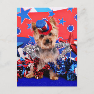 July 4th - Yorkie - Vinnie Briefkaart