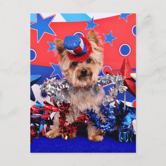 July 4th - Yorkie - Vinnie Briefkaart (Voorkant)