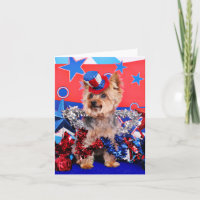 July 4th - Yorkie - Vinnie