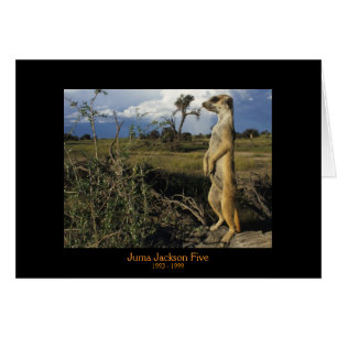 Juma - cartes de légendes