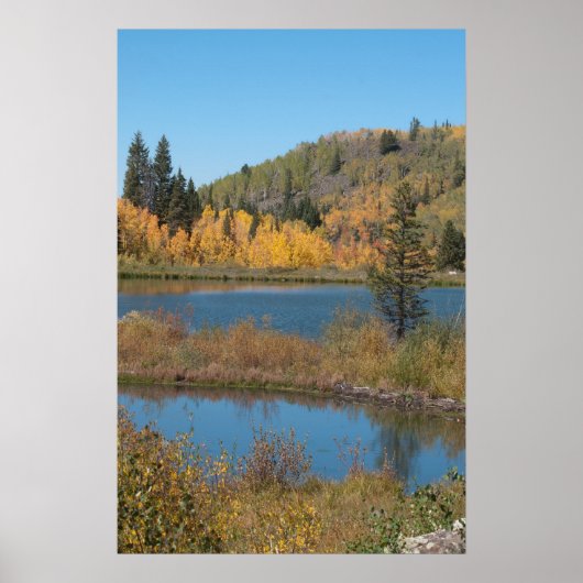 Jumbo Reservoir Poster (Voorkant)