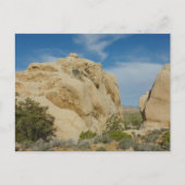 Jumbo Rocks in Joshua Tree National Park Briefkaart (Voorkant)