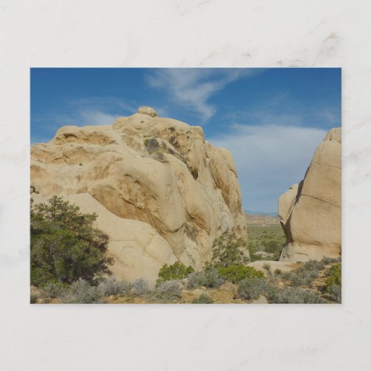 Jumbo Rocks in Joshua Tree National Park Briefkaart (Voorkant)