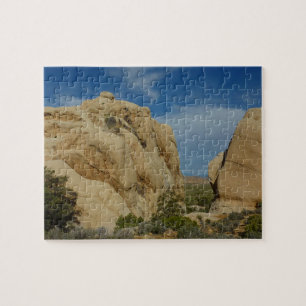 Jumbo Rocks in Joshua Tree National Park Legpuzzel