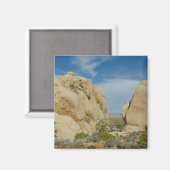 Jumbo Rocks in Joshua Tree National Park Magneet (Voorkant / Achterkant)
