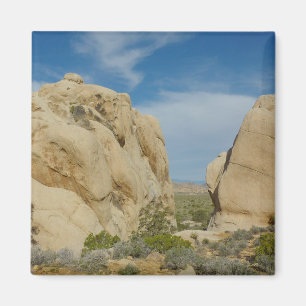 Jumbo Rocks in Joshua Tree National Park Magneet
